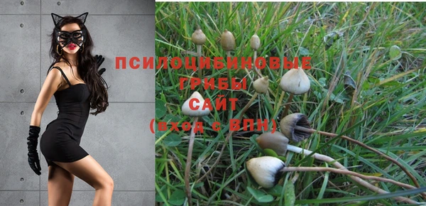 mdma Богданович