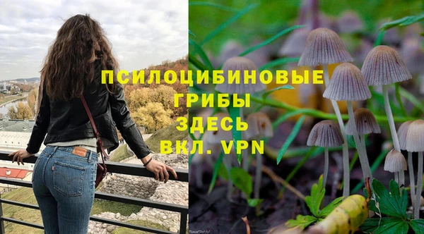 mdma Богданович
