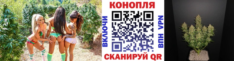 Бошки марихуана марихуана  где купить наркоту  Комсомольск 